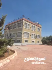  1 مادبا حواره مزرعه للبيع