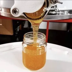  6 عسل طبيعي من جبال اليمن