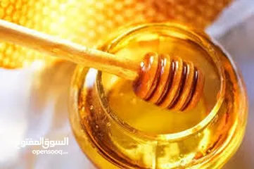  10 عسل طبيعي من المنحله للعلبه شرط الفحص اذا مغشوش يرجع