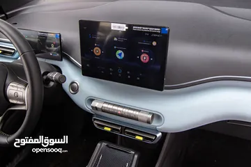  12 BYD Seagull 2023