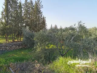  7 قطعة أرض مميزة في السلط الصبيحي سيحان بسعر مغري بمنطقة جميلة