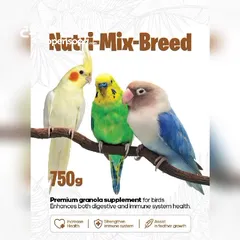  29 منتجات uaebirdfarm Products