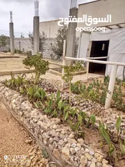  2 قطعة ارض للبيع