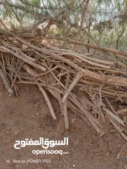  23 تشكيلة حطب للبيع
