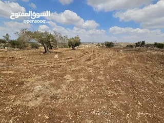  4 فرصة استثمارية لا تعوض . ارض مميزة للبيع في بيت قاد