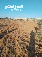  1 3400م للبيع من المالك مباشره دفعه واقصاد شهريه