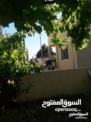  16 عمان ناعور الروضة الحي الغربي ابو الغزلان
