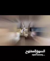  29 حقائب بجودة عالية