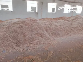  6 جاروشه وكساره