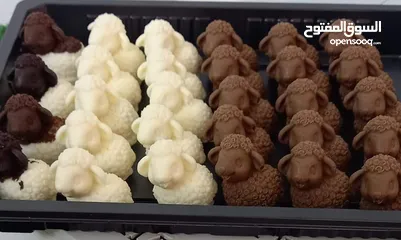  6 شكولاته بلجيكيه