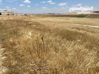  5 ارض للبيع في اللبن ابو دبوس قرب مسجد كريشان