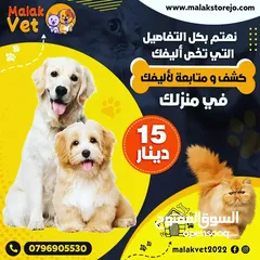 28 خدمات بيطرية متكاملة للحيوانات الاليفة