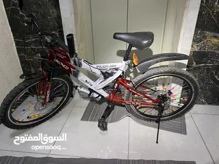 2 بسكليت امريكي