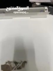  4 طابعة Epson wf 5110