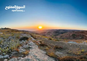  2 ارض للبيع 915 م سكن أ شارع المطار _ ناعور _ حسبان _ طريق الجامعة الالمانية من المالك مباشرة