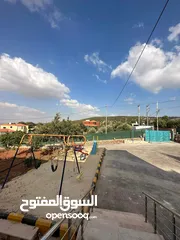  4 شارع الاردن الكمشة العالوك