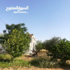  1 منزل للبيع مستقل