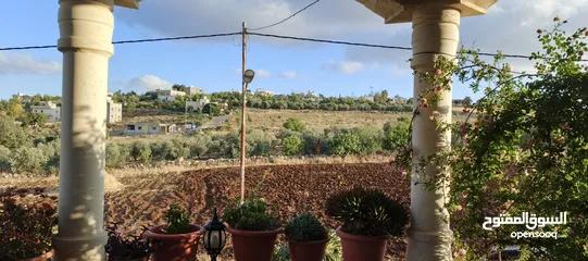  7 بيت للبيع عجلون