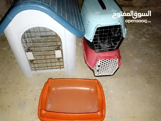  2 اكسسوارات قطط للبيع بحالة جيدة استعمال 6 اشهر.