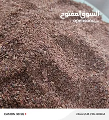  2 جميع انواع الزعتر البلدي والسماق والسمسم البلدي
