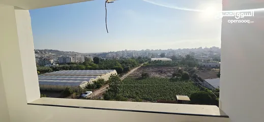  3 شقق مفروشة جاهزة للبيع.