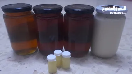  5 عسل طبيعي بلدي ومستورد وجميع منتجات النحل الاخرى