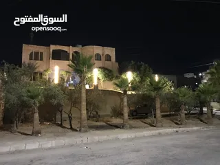  3 منزل مستقل للبيع - الزرقاء