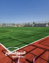  23 عشب ملاعب / عشب حدائق / عشب مدارس / عشب مزارع / عشب صناعي/ نجيل / تارتان Playground grass