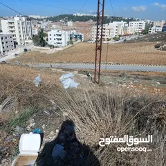  14 قطعه ارض للبيع مساحه 793 متر مربع  في عمان - ناعور - وادي الكبرا خلف محطه السلام طريق البحر الميت