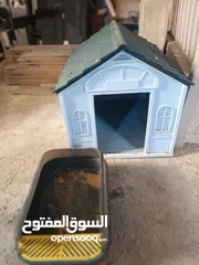  1 بيت قطه بالاظافه إلى مبوله