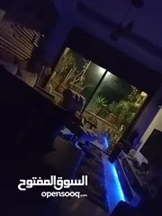  18 شقه منزليه