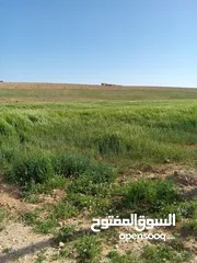  6 أراضي جنوب عمان (1,500)الدونم