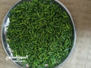  4 بامية خضراء اربد