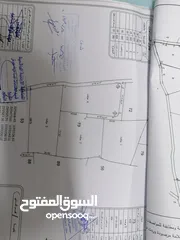  1 ارض للبيع سوف جرش