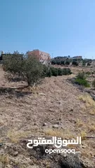  31 لقطة ؛ أرض زراعية مع غرفة على حدود الطفيلة والكرك ، تصلح للاستثمار كمزرعة سياحية أو منتجع سياحي