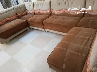  4 تخم قليل الاستعمال