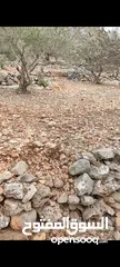  2 ارض للبيع بروقين سلفيت
