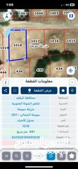  1 ارض في منطقة السويمة بحر الميت للبيع