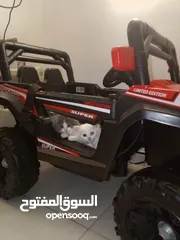  1 قطط صغار عمر شهر ونص (45يوم)....  مكس شيراز للبيع