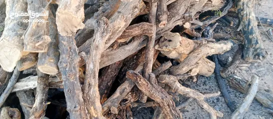  24 حطب زيتون زند وقرمي ناشف حطب لوزيات ناشف