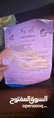  9 كيا أوبتما  فل كامل
