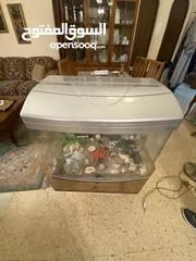  2 حوض سمك حجم وسط للبيع