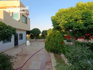  3 مزرعة جاهزة على المفتاح