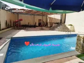  31 شيليه و مزرعة  للبيع او للايجار