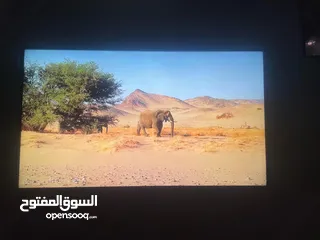  1 اسمارت 49 بوصه بحاله الجديد التواصل واتس اب