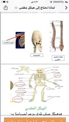  6 معلمة تأسيس من اول الي سابع