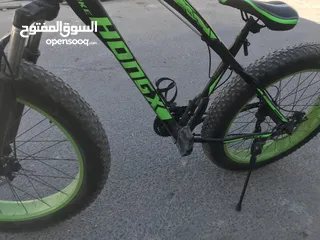  10 بسكليت للبيع