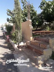  4 عمان ناعور الروضة الحي الغربي ابو الغزلان