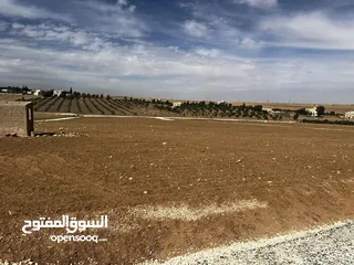  1 ثلاث دنمات و 400 متر زراعي كافة الخدمات