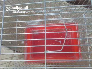  5 أقفاص طيور للبيع الرجاء التواصل عن طريق الرسايل